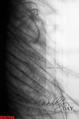 Ảnh gốc file tranh bộ decor in treo tường tráng gương OPIC7566 (độ nét cao) in tráng gương