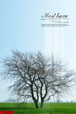 File ảnh file tranh bộ decor in treo tường tráng gương OPIC7580 (gốc) trang trí khách sạn