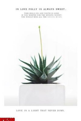 File in ấn file tranh bộ decor in treo tường tráng gương OPIC7586 (bản gốc) sắc nét