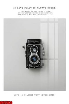 File gốc file tranh bộ decor in treo tường tráng gương OPIC7620 (in tráng gương) sang trọng