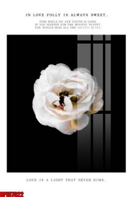 File PSD file tranh bộ decor in treo tường tráng gương OPIC7622 (bản gốc) độ phân giải cao