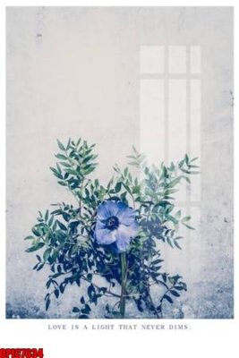 Cung cấp file tranh gốc file tranh bộ decor in treo tường tráng gương OPIC7634 độc quyền