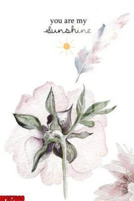 File tranh file tranh bộ decor in treo tường tráng gương OPIC7660 (gốc) in backlit film