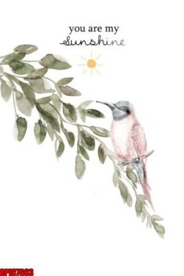 Tải file file tranh bộ decor in treo tường tráng gương OPIC7663 (gốc) làm file tranh quảng cáo