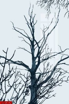 Tải file file tranh bộ decor in treo tường tráng gương OPIC7676 (ảnh gốc) file AI/EPS