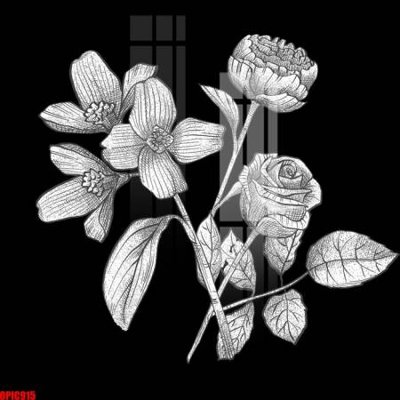 File gốc file tranh bộ decor in treo tường tráng gương OPIC915 (in mica) làm bảng hiệu