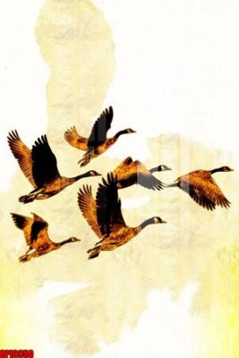 Tệp tin gốc file tranh bộ decor in treo tường tráng gương OPIC950 (dùng cho in) file tranh bộ decor in treo tường tráng gương OPIC950