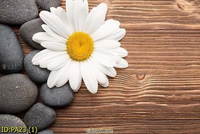 File gốc File tranh phòng ăn PA23 (PNG) chất lượng cao