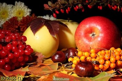 File gốc File tranh phòng ăn PA55 (in mica) làm quà tặng