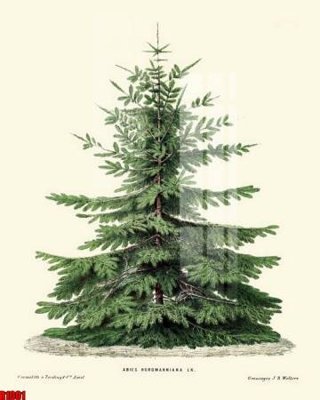 Tải file tranh file tranh in treo tường file decor tổng hợp R1001 (gốc) tại Filetranh.com