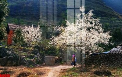 File gốc file tranh in treo tường file decor tổng hợp R10328 (Filetranh.com) file tranh in treo tường file decor tổng hợp R10328