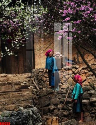 Chi tiết file ảnh file tranh in treo tường file decor tổng hợp R10333 sắc nét