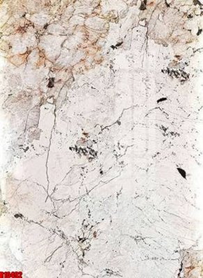 File tranh gốc file tranh in treo tường file decor tổng hợp R10492 (bản đẹp) độc quyền