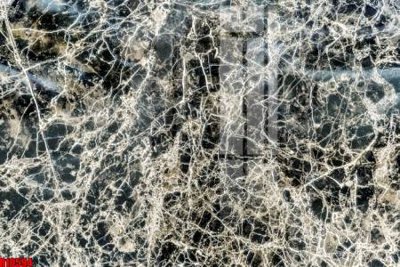 File gốc file tranh in treo tường file decor tổng hợp R10594 (phiên bản chuẩn) để in ấn