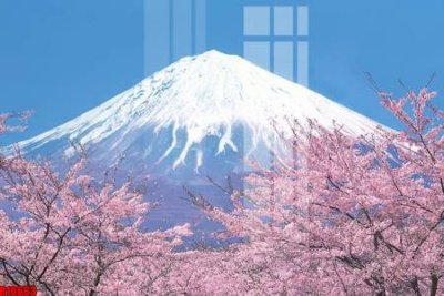 File PSD file tranh in treo tường file decor tổng hợp R10663 (nguyên bản) cho thiết kế