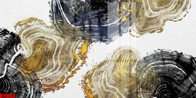 File in lụa file tranh in treo tường file decor tổng hợp R11003 (hoa văn) file tranh in treo tường file decor tổng hợp R11003