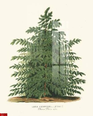 Download file gốc file tranh in treo tường file decor tổng hợp R1165 (in mica) 3D