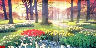 File PSD file tranh in treo tường file decor tổng hợp R118 (bản gốc) dễ dàng edit