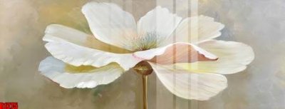 File in lụa file tranh in treo tường file decor tổng hợp R1275 (chất lượng cao) file tranh in treo tường file decor tổng hợp R1275