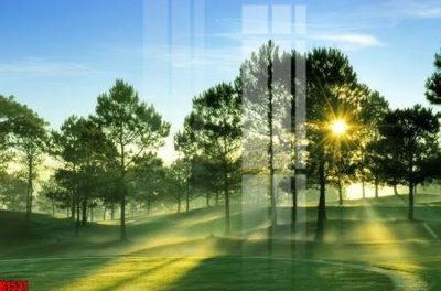 Tải file gốc file tranh in treo tường file decor tổng hợp R1531 (in tráng gương) cao cấpFile gốc file tranh in treo tường file decor tổng hợp R1531 (in ấn) phiên bản độc quyền