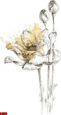 File gốc file tranh in treo tường file decor tổng hợp R1573 (in lụa) cao cấp