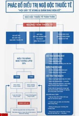 File in trần file tranh in treo tường file decor tổng hợp R1696 (bản gốc) hoa văn