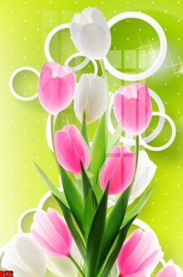 File gốc file tranh in treo tường file decor tổng hợp R172 (cho in ấn) từ kho Filetranh