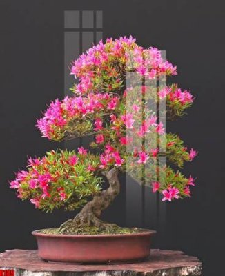 File gốc file tranh in treo tường file decor tổng hợp R189 (phong cách) cổ điển