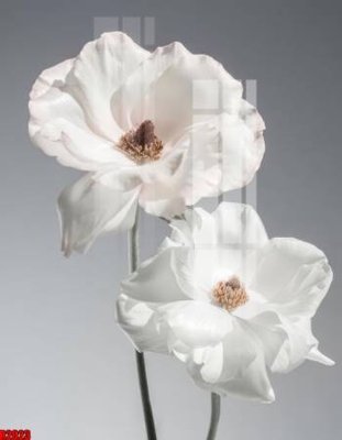 File tranh file tranh in treo tường file decor tổng hợp R2023 (bản gốc) in lụa 3D