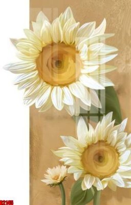 Tải file file tranh in treo tường file decor tổng hợp R2145 (ảnh gốc) 300dpi file tranh in treo tường file decor tổng hợp R2145