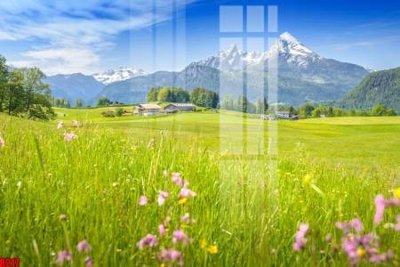 File tranh file tranh in treo tường file decor tổng hợp R217 (ảnh gốc) không bị mờ