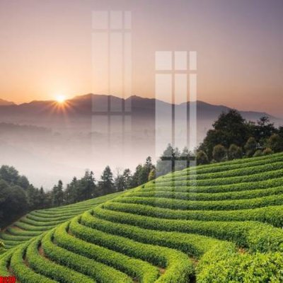 File in ấn file tranh in treo tường file decor tổng hợp R220 chuyên nghiệp