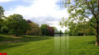 Tải file file tranh in treo tường file decor tổng hợp R2205 (gốc) chủ đề phong thủy