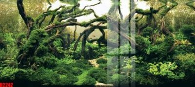 Chi tiết file tranh tráng gương file tranh in treo tường file decor tổng hợp R2242 (ảnh gốc)