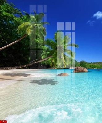 Tải file gốc file tranh in treo tường file decor tổng hợp R226 (in khổ lớn) không vỡ