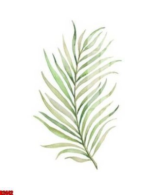 Chi tiết file tranh tráng gương file tranh in treo tường file decor tổng hợp R2442 (ảnh gốc)