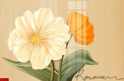 Ảnh gốc file tranh in treo tường file decor tổng hợp R2565 (độ nét cao) in mica