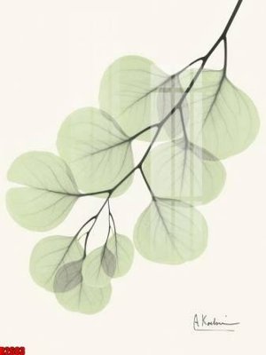 Tải về file gốc file tranh in treo tường file decor tổng hợp R2683 (dùng cho in quảng cáo)