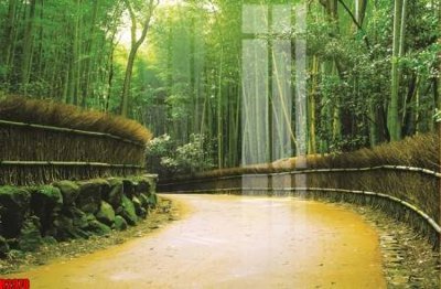 File gốc file tranh in treo tường file decor tổng hợp R2978 (phong cách) tối giản