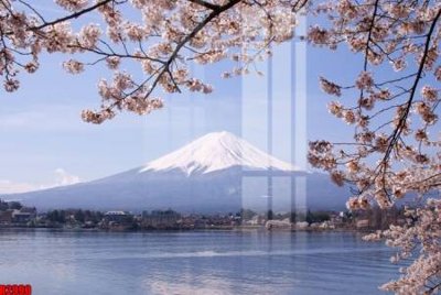 File gốc file tranh in treo tường file decor tổng hợp R2990 (ảnh chi tiết) để in lụa