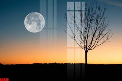 File gốc file tranh in treo tường file decor tổng hợp R3036 (in 3D) cho trang trí