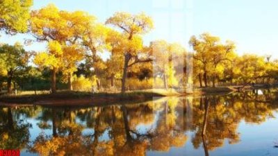 Tải file gốc file tranh in treo tường file decor tổng hợp R3058 (bản PSD) đầy đủ layer