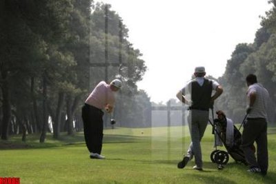 File in ấn file tranh in treo tường file decor tổng hợp R3085 (bản gốc) cao cấp