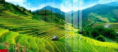 File tranh file tranh in treo tường file decor tổng hợp R3097 (ảnh gốc) chi tiết rõ ràng