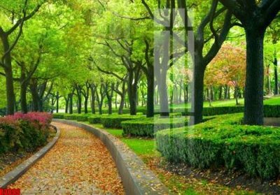 Tải file file tranh in treo tường file decor tổng hợp R3099 (ảnh gốc) in gạch men