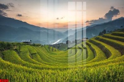 Download file gốc file tranh in treo tường file decor tổng hợp R3109 (in lụa) cao cấp