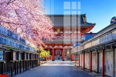 File tranh file tranh in treo tường file decor tổng hợp R3126 (bản gốc) treo phòng ăn