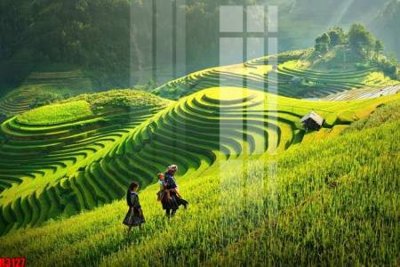 File tranh file tranh in treo tường file decor tổng hợp R3127 (bản gốc) in lụa dán tường