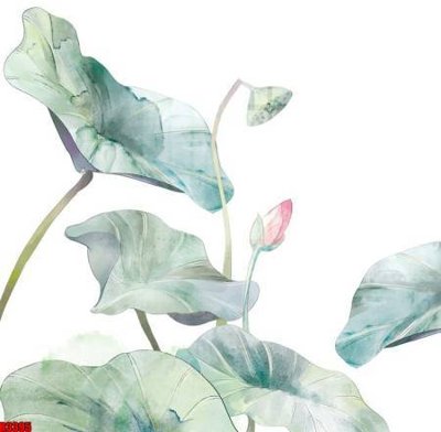 File tranh file tranh in treo tường file decor tổng hợp R3395 (bản gốc) in canvas