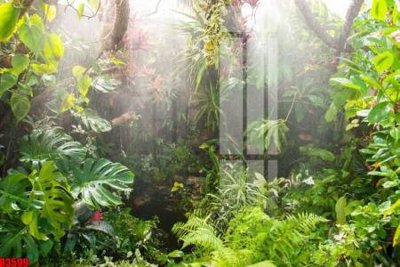 Tải file file tranh in treo tường file decor tổng hợp R3599 (gốc) để in ấn ngay